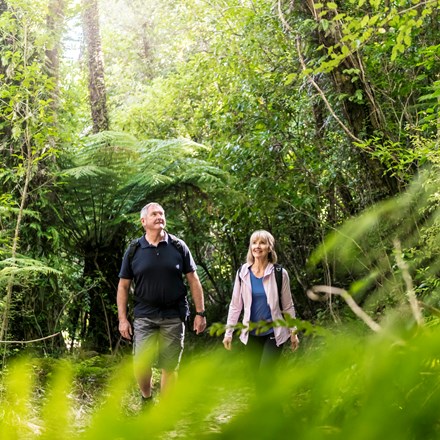 A couple walk through native forest on the Queen Charlotte Track.