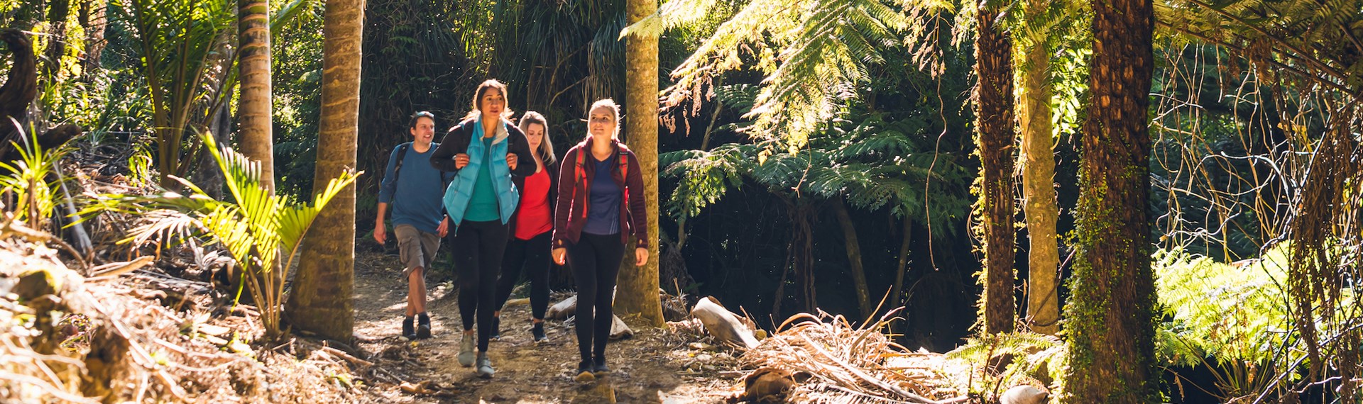 Four people walking through nikau palms on the Queen Charlotte Track.