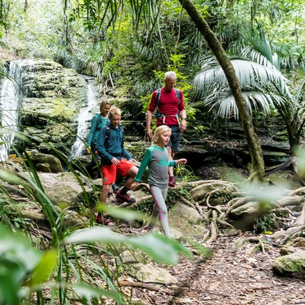 Family of four walking in front of a waterfall on the Queen Charlotte Track.