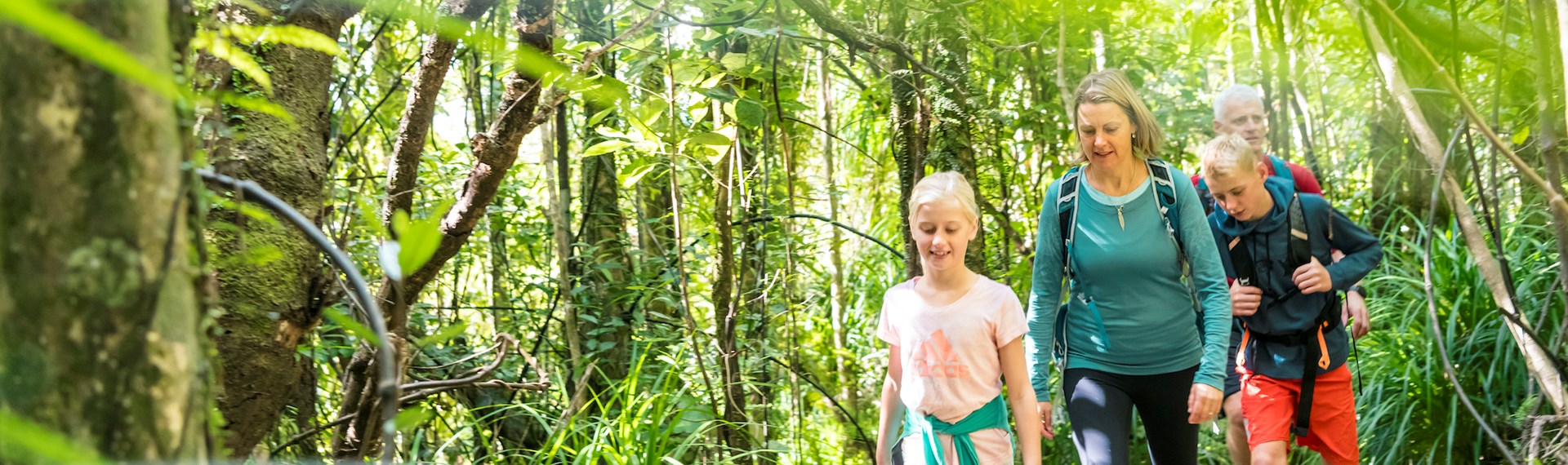 A family of four walk through native bush along the Queen Charlotte Track.