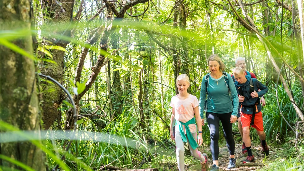 A family of four walk through native bush along the Queen Charlotte Track.