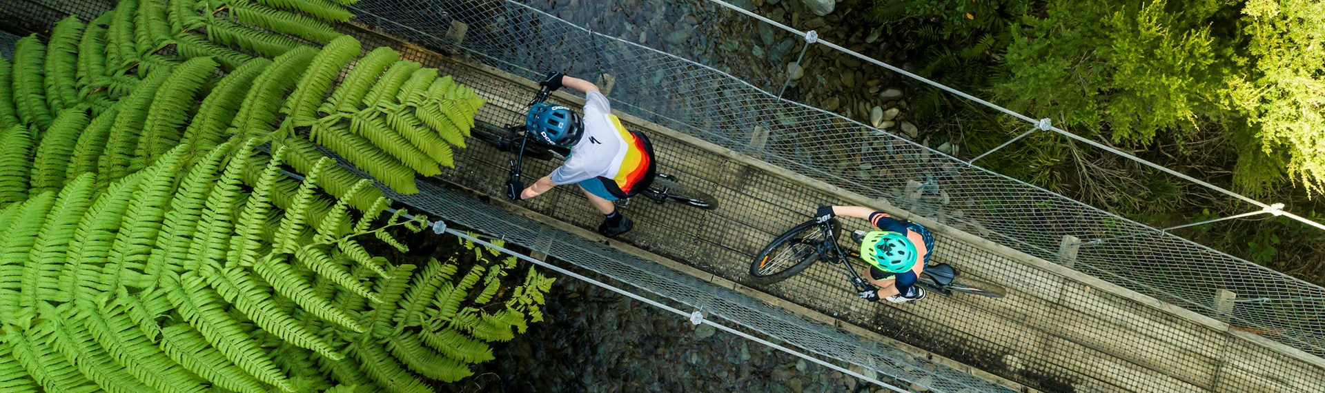 Aerial shot of two boys biking over a swingbridge on the Queen Charlotte Track.