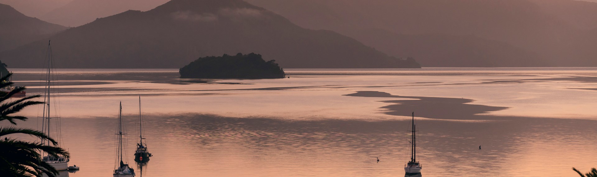 he view from Picton at sunrise over Queen Charlotte Sound/Tōtaranui, with orange skies and water in the Marlborough Sounds, New Zealand.
