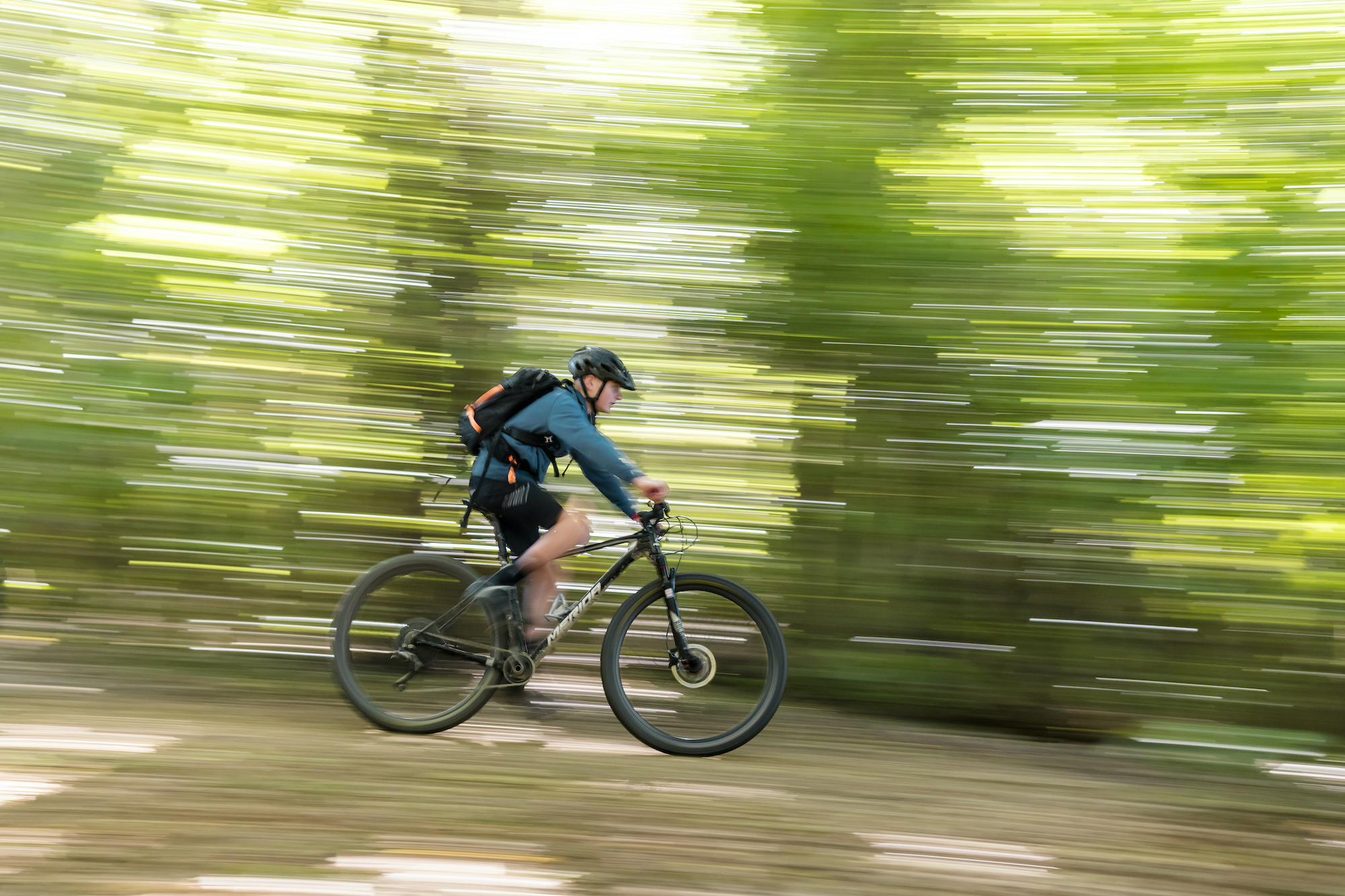 Walk or Bike the Queen Charlotte Track Marlborough NZ