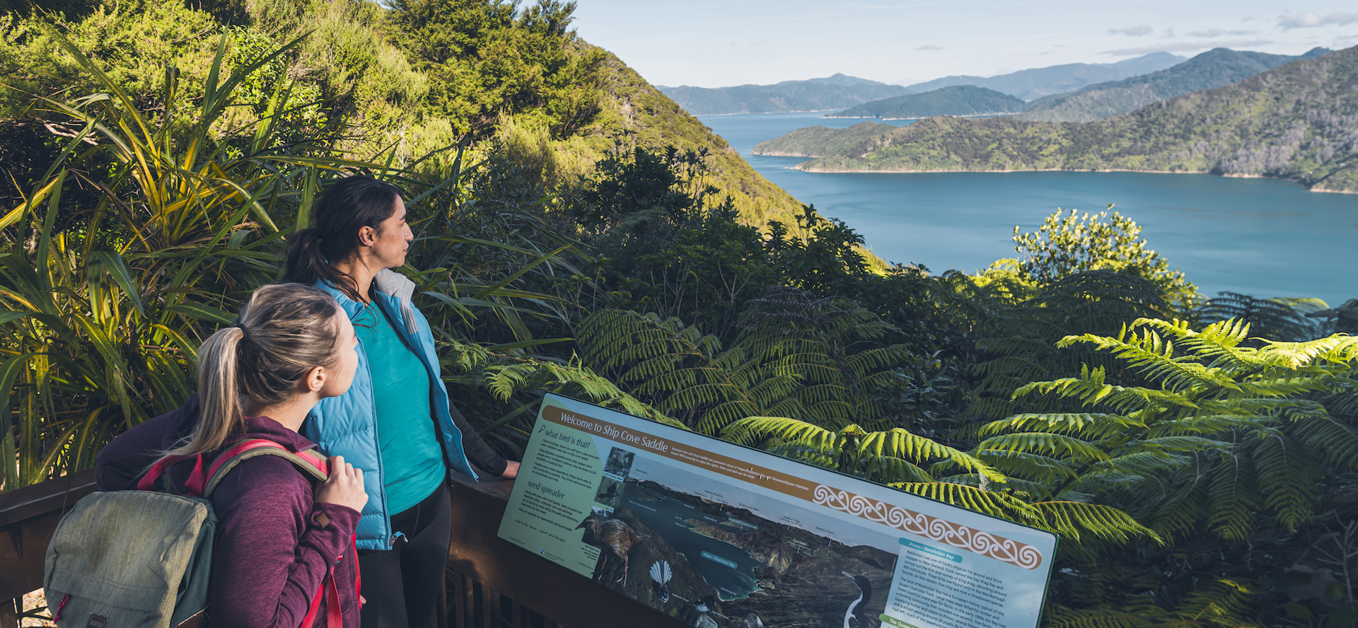 Two women walkers stand at a lookout on the Queen Charlotte Track looking over Resolution Bay.